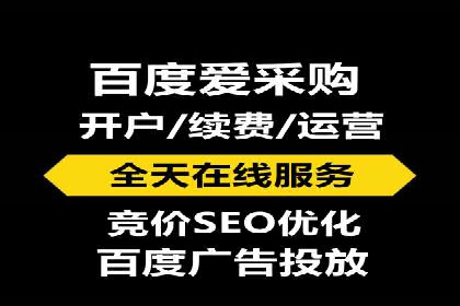 某行业巨头如何利用百度推广服务费提升业绩